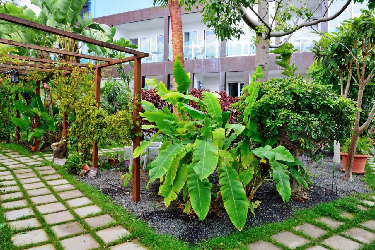 Apartamentos Adjovimar Лос Лианос де Аридане Екстериор снимка